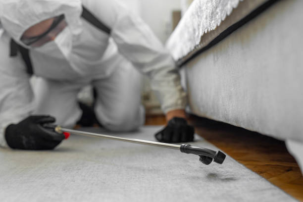 Professional Pest Control technician working in Saline County County, NE